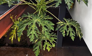 Casa en venta en Telchac Puerto, Yucatan