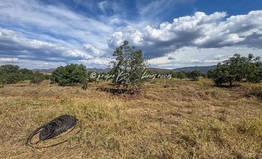 Predio Agrícola en Venta en Mixtlán, Jalisco | 108 Has con Agua y Aguacate