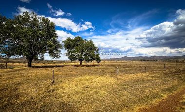 Predio Agrícola en Venta en Mixtlán, Jalisco | 108 Has con Agua y Aguacate