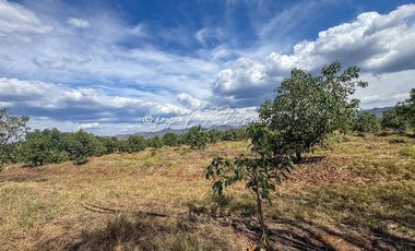 Predio Agrícola en Venta en Mixtlán, Jalisco | 108 Has con Agua y Aguacate