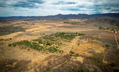 Predio Agrícola en Venta en Mixtlán, Jalisco | 108 Has con Agua y Aguacate