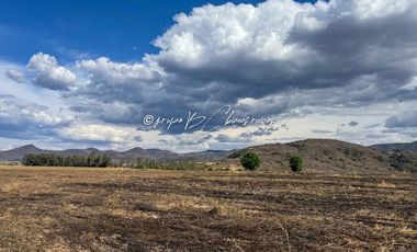 Predio Agrícola en Venta en Mixtlán, Jalisco | 108 Has con Agua y Aguacate