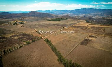 Predio Agrícola en Venta en Mixtlán, Jalisco | 108 Has con Agua y Aguacate