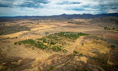 Predio Agrícola en Venta en Mixtlán, Jalisco | 108 Has con Agua y Aguacate