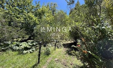 Sitio en Venta en Ensenada Panguipulli