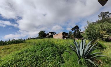 Terreno de arriendo en San Pedro del Cebollar – código:21677