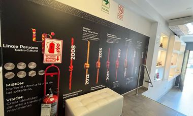 LOCAL COMERCIAL EN AV PRIMAVERA