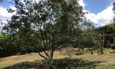VENTA de FINCAS en LA MESA