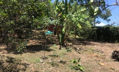 VENTA de FINCAS en LA MESA