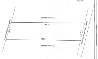 TERRENO EN VENTA EN RANCHERIA PLATANO Y CACAO, TABASCO
