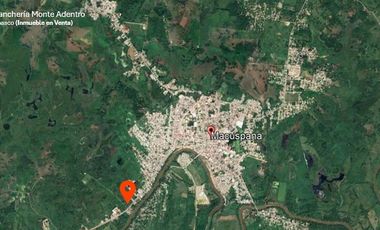 TERRENO DE USO MIXTO EN VENTA UBICADO EN MACUSPANA TABASCO