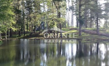 COLEGIO INGLES VILLARICA