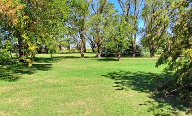 CAMPO EN VENTA EN NECOCHEA