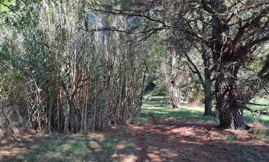 CAMPO EN VENTA EN NECOCHEA