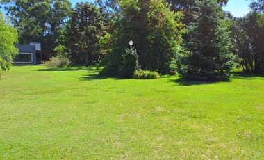CAMPO EN VENTA EN NECOCHEA
