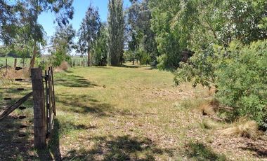 CAMPO EN VENTA EN NECOCHEA