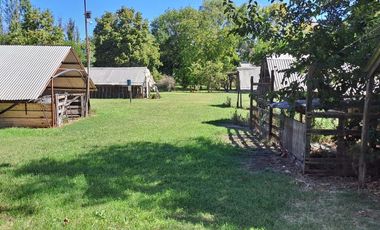 CAMPO EN VENTA EN NECOCHEA