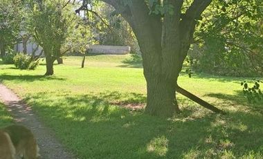CAMPO EN VENTA EN NECOCHEA