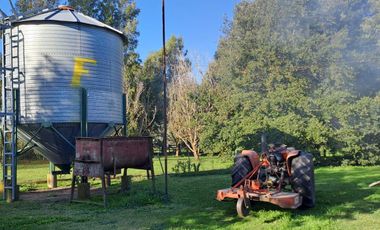 CAMPO EN VENTA EN NECOCHEA