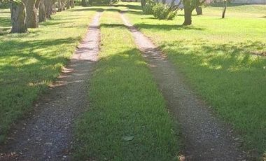 CAMPO EN VENTA EN NECOCHEA