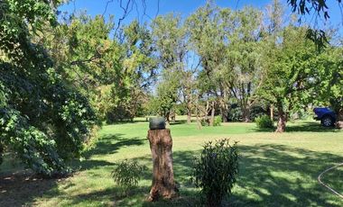 CAMPO EN VENTA EN NECOCHEA