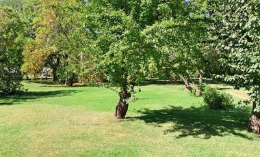 CAMPO EN VENTA EN NECOCHEA