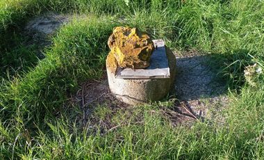 CAMPO EN VENTA EN NECOCHEA