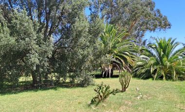 CAMPO EN VENTA EN NECOCHEA