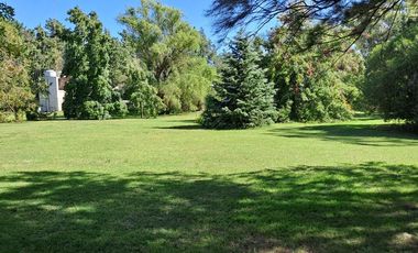 CAMPO EN VENTA EN NECOCHEA