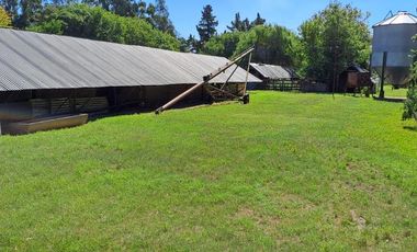 CAMPO EN VENTA EN NECOCHEA