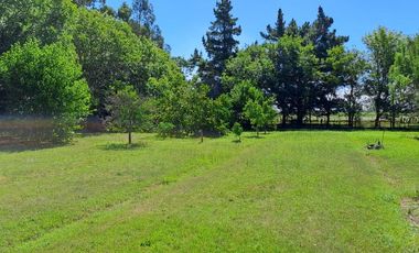 CAMPO EN VENTA EN NECOCHEA