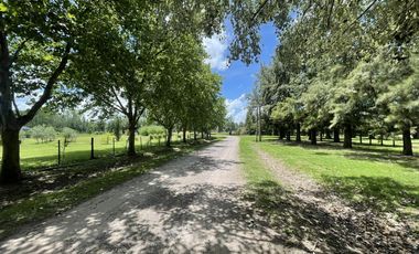 Terreno en  Venta en Chacras de Abbott, San Miguel del Monte