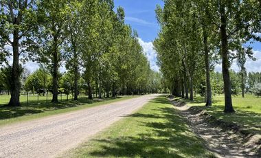 Terreno en  Venta en Chacras de Abbott, San Miguel del Monte