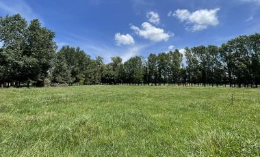 Terreno en  Venta en Chacras de Abbott, San Miguel del Monte