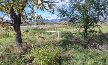 Huerta Nogalera en Venta, Rancho el Pirineo, Parras de La Fuente  Coahuila