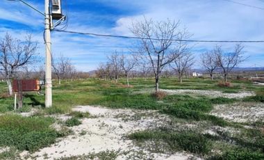 Huerta Nogalera en Venta, Rancho el Pirineo, Parras de La Fuente  Coahuila