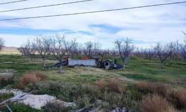 Huerta Nogalera en Venta, Rancho el Pirineo, Parras de La Fuente  Coahuila