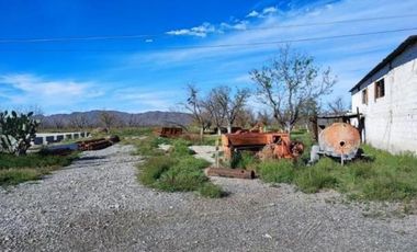 Huerta Nogalera en Venta, Rancho el Pirineo, Parras de La Fuente  Coahuila
