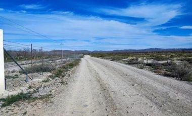 Huerta Nogalera en Venta, Rancho el Pirineo, Parras de La Fuente  Coahuila