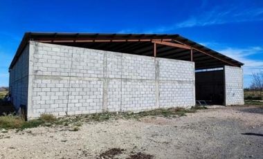 Huerta Nogalera en Venta, Rancho  El Ausente, Parras de la Fuente Coahuila