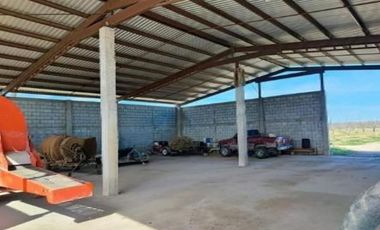 Huerta Nogalera en Venta, Rancho  El Ausente, Parras de la Fuente Coahuila