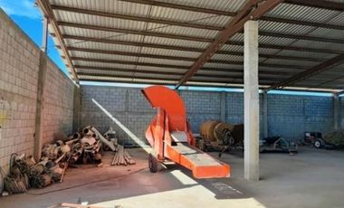 Huerta Nogalera en Venta, Rancho  El Ausente, Parras de la Fuente Coahuila