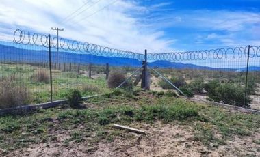 Huerta Nogalera en Venta, Rancho  El Ausente, Parras de la Fuente Coahuila