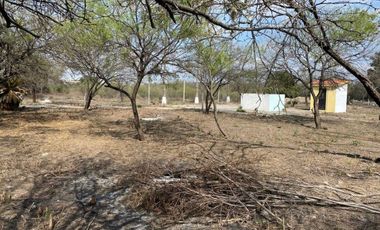 TERRENO EN RENTA GUADALUPE