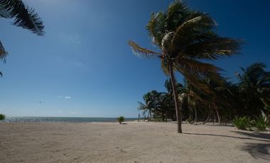 REFUGIO DE PAZ FRENTE A LA PLAYA