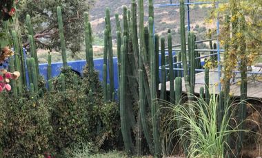 Oportunidad - Rancho Ecoturístico, En La Baja.
