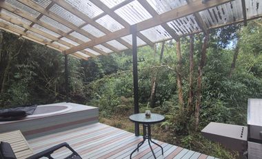 Cabañas Lodge en el bosque Valdiviano