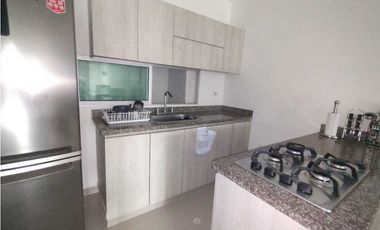 Apartamento en arriendo en la castellana.