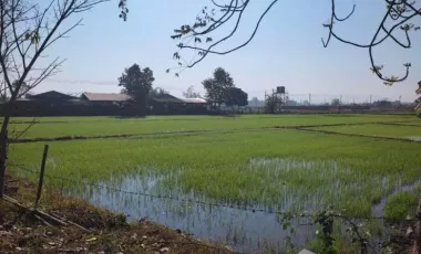 Land for sale in Mae Kon, Chiang Rai