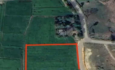 Land for sale in Mae Kon, Chiang Rai